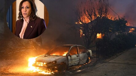 Los Angeles yangınları arasında Kamala Harris’in evi yağmalandı - dunya