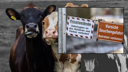 'Mali sonuçlar doğuracak' denmişti: 35 yıl sonra ilk kez görülen hastalık nedeniyle taze et ithalatına yasak geldi! - ekonomi