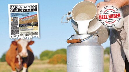 Süt fiyatı açıklandı, üretici yine zam istiyor! Saman ucuza gitti, yem fiyatı boyu aştı - ekonomi