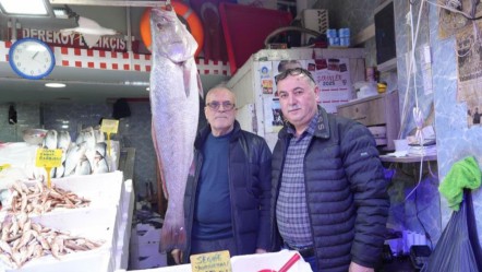 Samsun'da balıkçıların ağına takıldı! Dev minekop tezgaha geldiği gibi 6 bin liradan satıldı - Yaşam