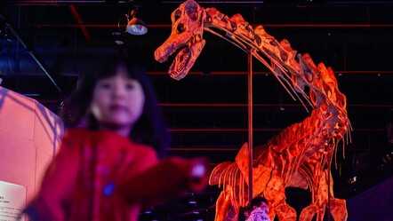 Devasa dinozor iskeletleri buraya taşındı! Dünya üzerinde dolaşan en büyük hayvanlar sergilendi - haberler