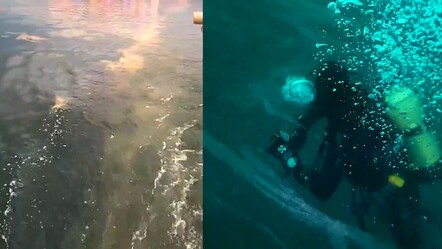 Marmara Denizi için kritik müsilaj uyarısı: 