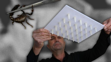 Ayda 20 gram üretiyor, fiyatı 250 ile 400 bin arası değişiyor! Osmaniyeli girişimci akrep zehrini yurt dışına satacak - ekonomi