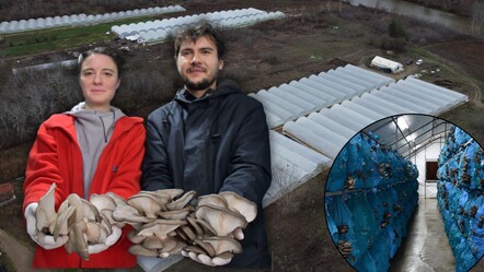 Şehir hayatından kaçtılar, devasa bir tesis kurdular! Yıllık 8 ila 10 ton ürün üretiyorlar - ekonomi