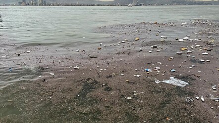 İzmir Körfezi'ndeki kirlilik için soruşturma başlatıldı - gundem