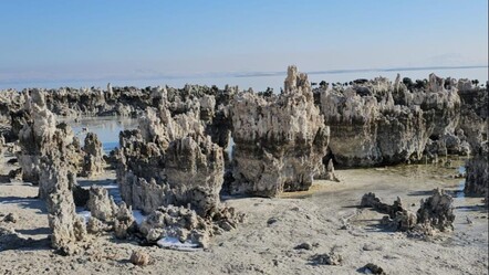 Van Gölü'nde ürküten görüntü! Sahile gidenler korkunç tablo ile karşılaştı - gundem