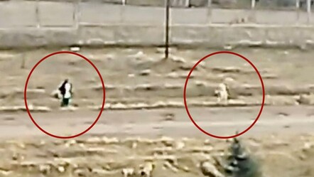 Sokak köpekleri küçük çocuğa saldırdı! Onu hayatta tutan ise çuval parçası oldu - gundem