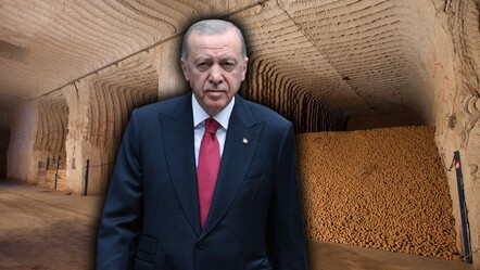 Cumhurbaşkanı Erdoğan talimat vermişti! Patates üreticisi heyecanla bekliyor - teknoloji