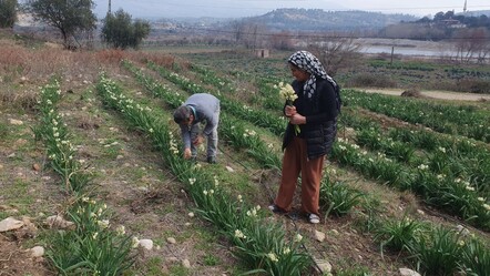 Hobi amaçlı başlamıştı, geçim kaynağı oldu - gundem