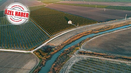 Arazide satışlar da fiyatlar da dip yaptı! Pandemi ve negatif faizle parlamıştı - ekonomi