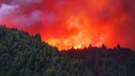 Arjantin yanıyor, onlarca ev kül oldu! Nahuel Huapi Ulusal Parkı da alevlerden etkilendi - Dünya