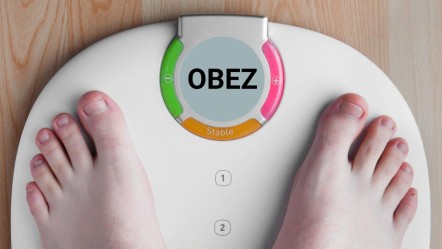 Obezite: Görünüşün ötesinde bir sağlık tehlikesi! Vücudunuzu tanıyın, sağlığınızı koruyun - Sağlık