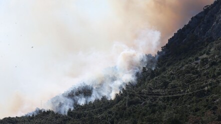 Antalya'da ormanlık alanda yangın! Alevler kısa sürede yayıldı - haberler