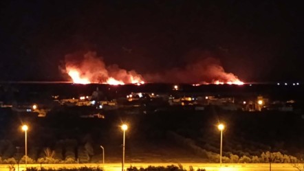 Kuş cenneti Göksu Deltası cayır cayır yanıyor, itfaiye alevlere müdahale edemiyor - Gündem