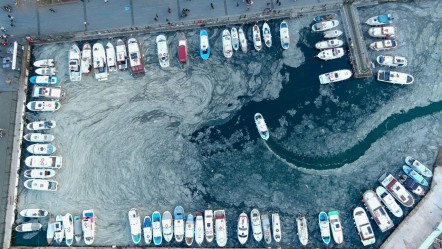 Marmara'nın kabusu geri döndü! Kaydedilen görüntü korkuttu - Gündem