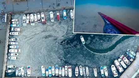 Marmara'nın kâbusu geri döndü! Kaydedilen görüntü korkuttu - Gündem