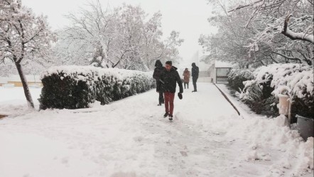 Memleketin dört bir yanı beyaza büründü! Meteoroloji uyarmıştı: Kar yarım metreye ulaştı - Yaşam