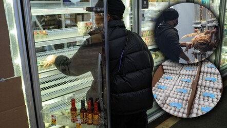 ABD'de kuş gribi alarmı! Milyonlarca tavuk itlaf edildi, yumurta fiyatları uçtu - ekonomi