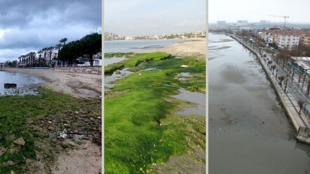 Türkiye'nin dört bir yanında panik! Deniz suyunun çekilmesi deprem habercisi mi? - gundem