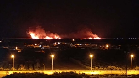 Kuş cenneti alev alev yandı! Bin dönümlük arazi küle döndü - gundem