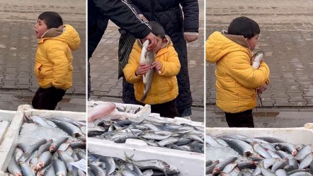 'Balık istiyorum' dedi hıçkıra hıçkıra ağladı: Annesi alamadı, balıkçı devreye girdi... İşte viral olan anlar - Yaşam