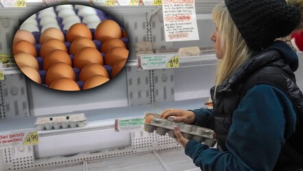 ABD, kuş gribi nedeniyle 15 bin ton yumurta alacak! Marketteki fiyatlar nasıl etkilenecek? - dunya