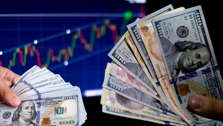 Dolar yeni zirveyi test etti! Döviz hesaplarında dikkat çeken artış - ekonomi