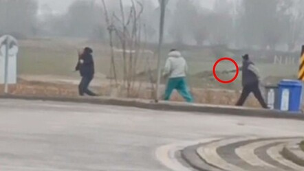 Kiracısına dehşeti yaşattı! Korkunç anlar kamerada - gundem