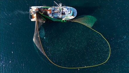 2024'te Türkiye ekonomisine 2 milyar dolar kazandırdı! İhracatta rekor kırdı - ekonomi