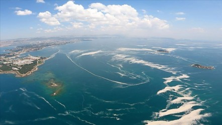 Marmara Denizi'nde müsilaj önlemi! Yüzer bitki adaları oluşturulacak - Yaşam