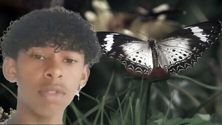 Bu 'meydan okuma' çok konuşuldu! Ölü kelebekleri vücuduna enjekte etti - dunya