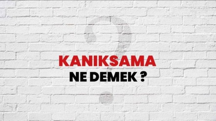 Kanıksama: Hayatımızdaki etkileri ve üstesinden gelme yolları - Güncel