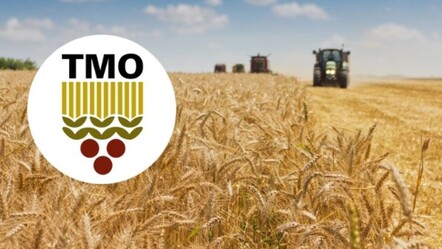 45 milyarlık faiz ödemesi bilançoda gizlendi mi? TMO'dan iddialara yalanlama geldi - haberler