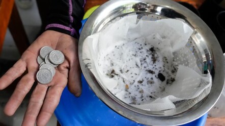 Halk seferber oldu! Filipinler’de sivrisinek getirene nakit ödül - dunya