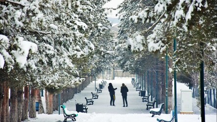 Muş'ta okullar tatil mi? 20 Şubat Valilik açıklaması - haberler