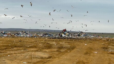 ASKİ’ye 5 milyon TL para cezası uygulandı! Atık depolamada iki ihlal - yasam