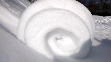 Kar yağışı sonrası ortaya çıktı! Doğada ender görülüyor - gundem