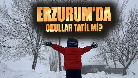 Erzurum'da bugün okullar tatil mi? 21 Şubat 2025 Erzurum'da okullar tatil mi? - haberler