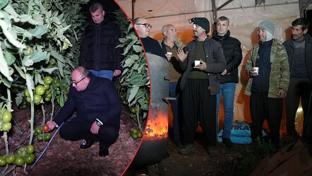 Domates fiyatları buna bağlı! Sibirya soğukları seraları vurmasın diye don nöbeti bekliyorlar - gundem