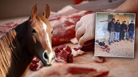 Ramazan öncesi at etini piyasaya süreceklerdi! Gıda sahtekarları suç üstü yakalandı - haberler