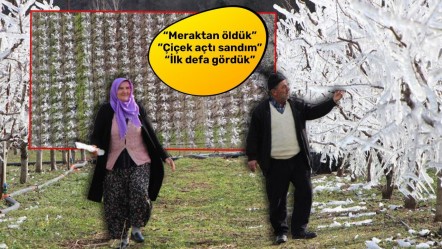 Dondan korumak için 400 ağacı dondurdu! Amasya'da bir çiftçinin meyve bahçesine bulduğu sistemi görenler hayret etti - Ekonomi