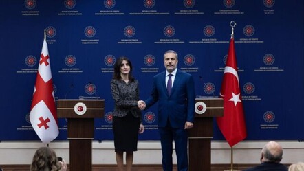 Gürcistan, Türkiye'yi işaret etti! 