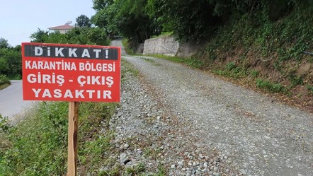 Hastalık tespit edildi, karantina uygulanacak! Kastamonu'da şap krizi - Gündem