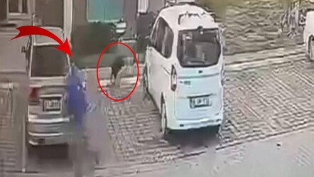 Başıboş köpek dehşet saçtı! Yaralanan imam İBB'den tazminat aldı - gundem