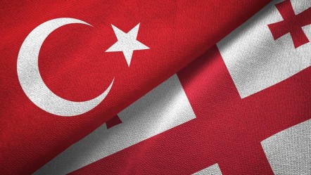 Gürcistan'dan kritik değerlendirme! "Türkiye, bölgenin lider ülkesi" - Gündem