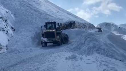 Muş’ta panik dolu anlar! Yol açma çalışması esnasında çığ düştü - Yaşam