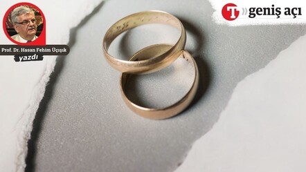 Prof. Dr. Hasan Fehim Üçışık yazdı: Boşanmada sınırsız nafaka... Hukuki düzenlemeler neler söylüyor? - gundem