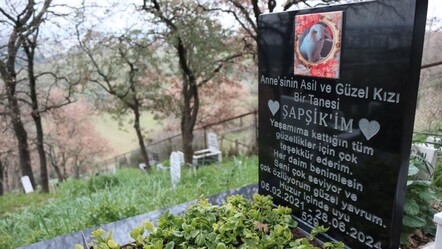 Bu mezarlığa talep çok fazla! Binden fazla hayvan gömüldü: Kapasite artırıldı - gundem