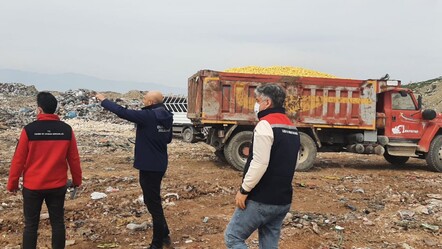 Dubai'ye ihraç edilecekti! Yasaklı madde bulunan kilolarca limon imha edildi - gundem