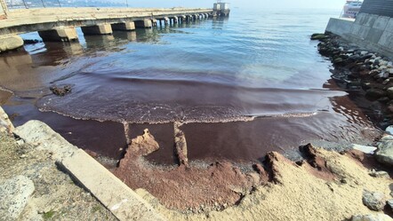 Korkutan görüntüler Marmara Denizi’nden! Kızıl yosun istilası sürüyor - yasam